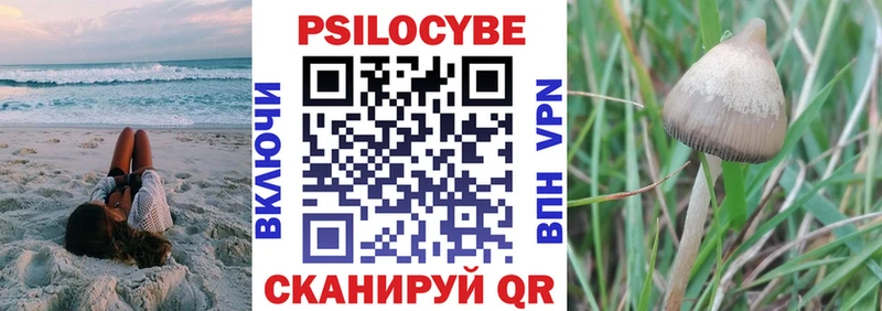 Галлюциногенные грибы MAGIC MUSHROOMS  мориарти клад  Чехов 
